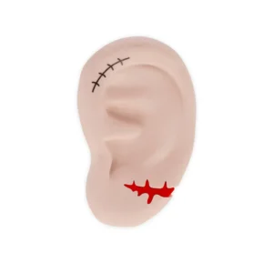 Gomma Profumata - Ear We Go Again